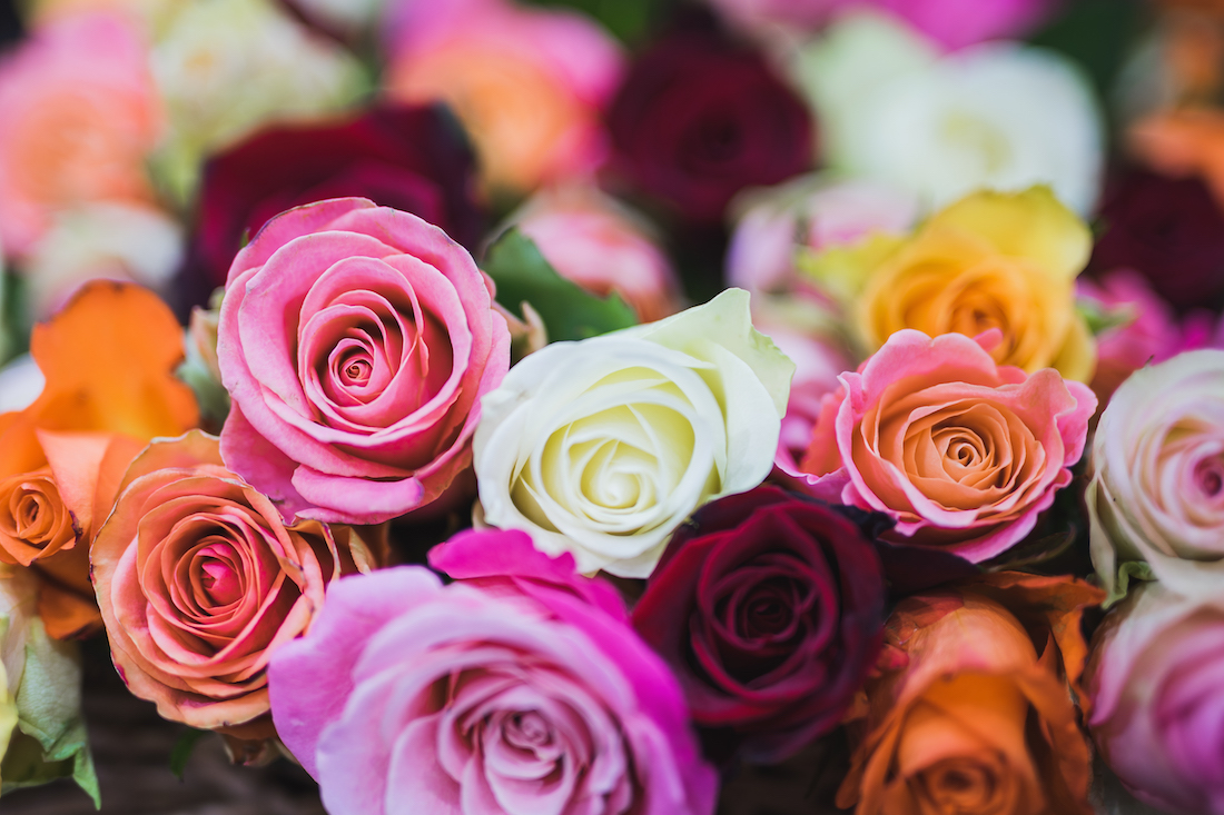 DIY Wedding Flower Preservation and Pressing – SuperNoVaBride
